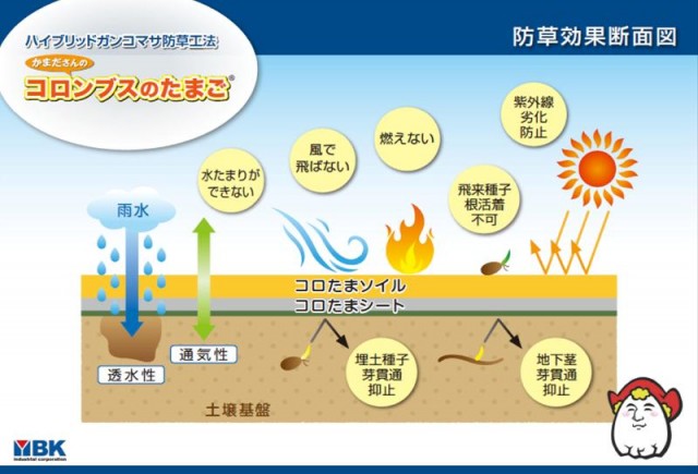 かまださんのコロンブスのたまご機能断面図