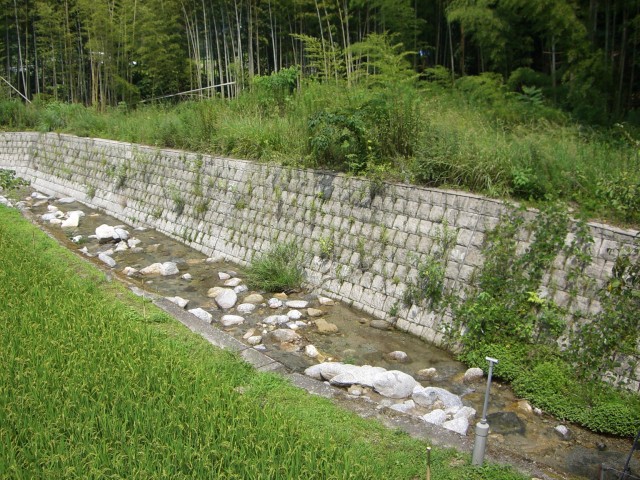 植生の保全・回復