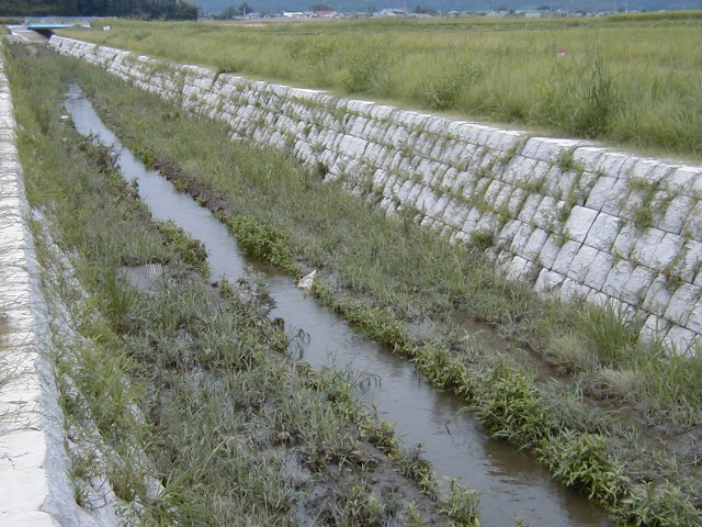 跡江川改修工事