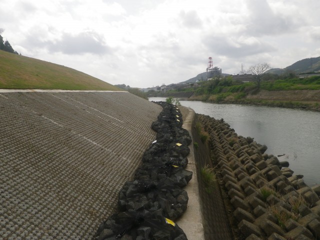 河川③