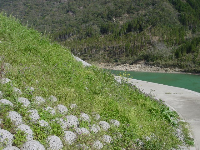 一体型ポラカブル：やすらぎ（耳川）.JPG