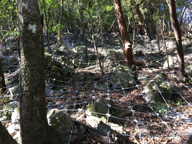 工事名:令和3年度緊急予防治山事業 秋元工区 発注者:宮崎県西臼杵支庁