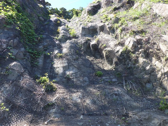 プラスネットハニー(環境色塗装)