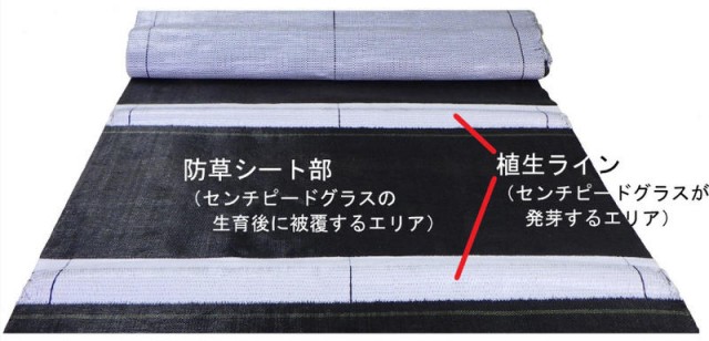 植生ライン（センチピードグラスが発芽するエリア）(白色)と雑草を物理的に抑制する防草エリア(黒色)で構成している。材質はポリプロピレンで、防草エリア遮光率は99.99%以上。