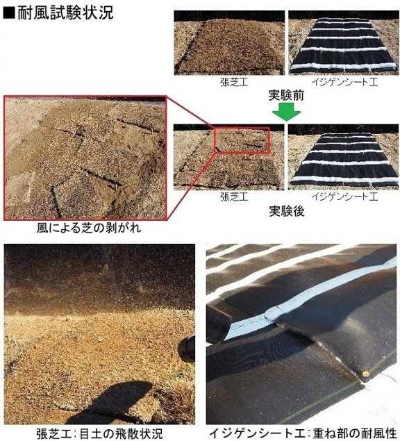 耐風性比較試験として風速30m/sを15分送風した結果、張芝工では5分で目土の飛散と切芝の剥離・散乱が発生した。一方、イジゲンシート工は重ね部がやや煽られるのみで、シートの浮き等はなく、強風下でも高い安定性が確認された。