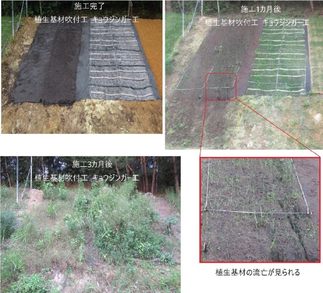 強い降雨下においても、生育基盤の流亡を抑制し、早期の全面緑化を確認した。