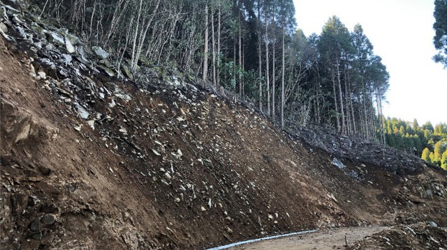 宮崎県東臼杵農林振興局管内ののり面における施工前状況。自然斜面の崩壊跡地で、表層が不安定な状態であった。