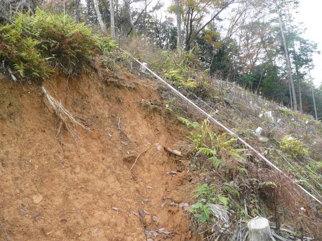 崩壊防止事例 - 豪雨により隣接地域は斜面崩壊が発生したが、ユニットネット工法施工済み箇所は崩壊しなかった。