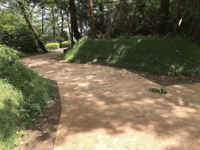 宮崎市フェニックス動物園　自然遊歩道